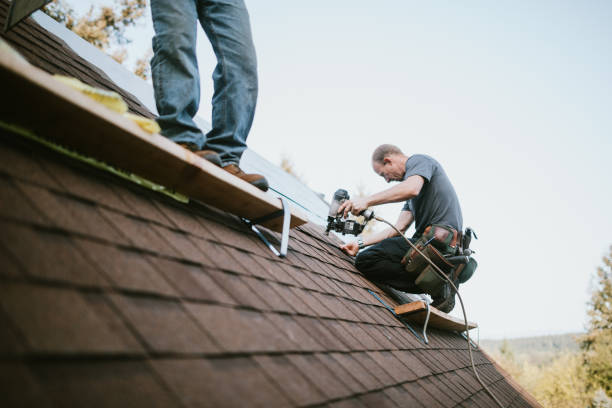Professional Roofing Contractor in Biltmore, TN