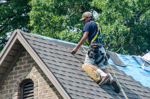 Roof Gutter Cleaning in Biltmore, TN
